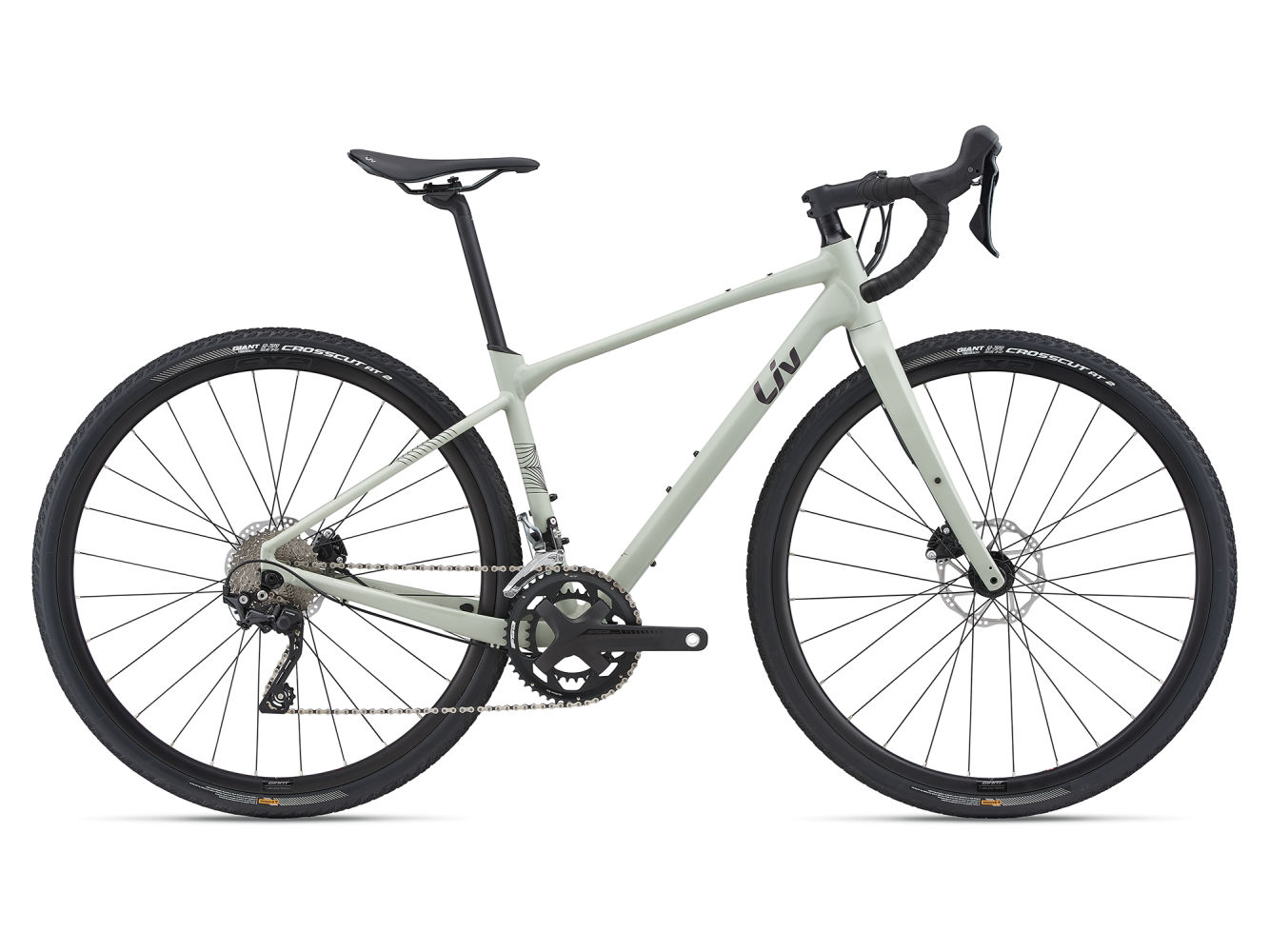 Giant Liv Devote 1 (2021)