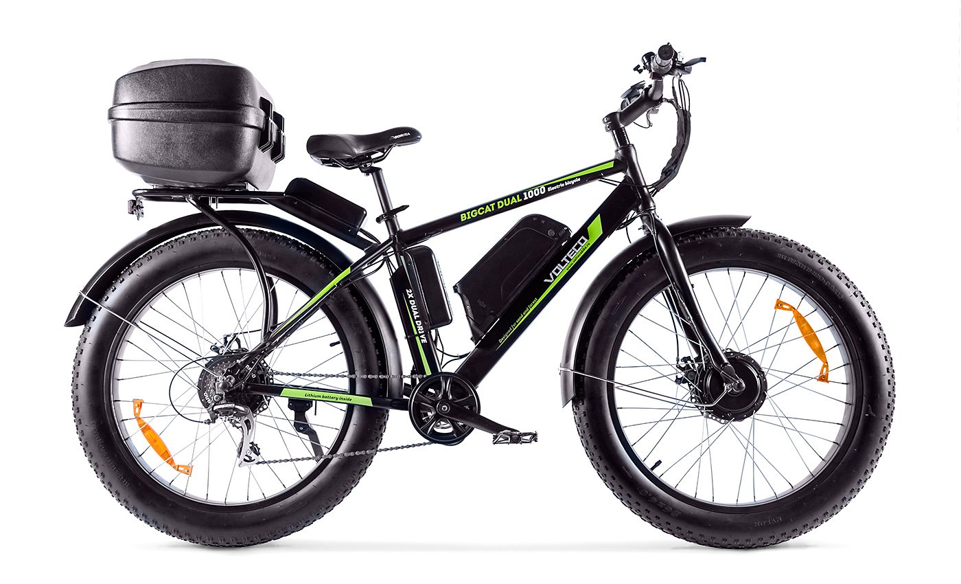 Wellness BigCat Dual 1000 c кофром