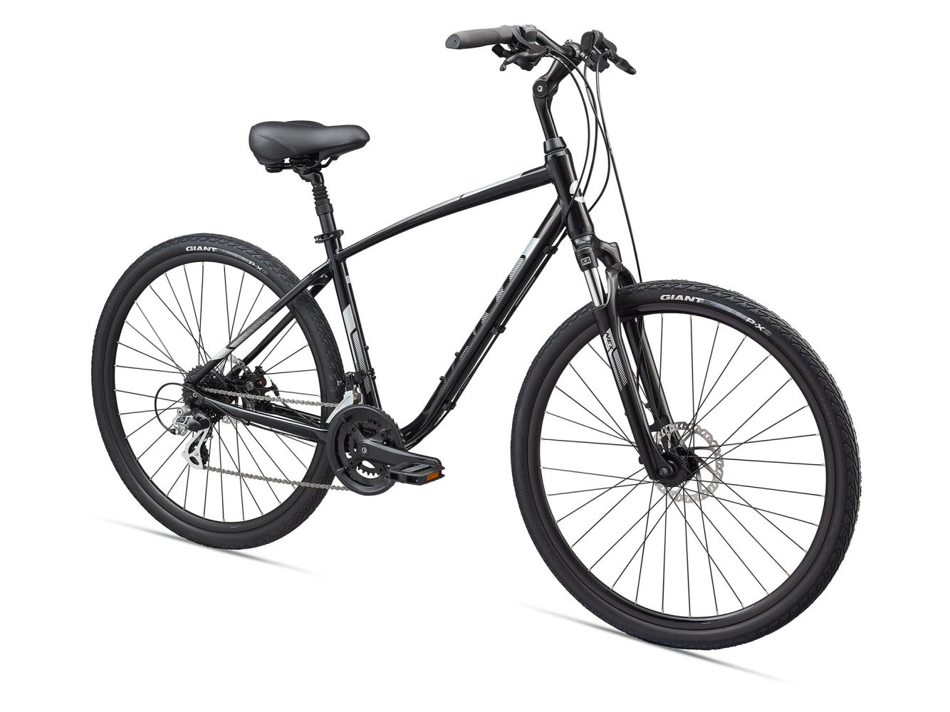 Giant Cypress DX (2021) Giant Cypress DX (2021)