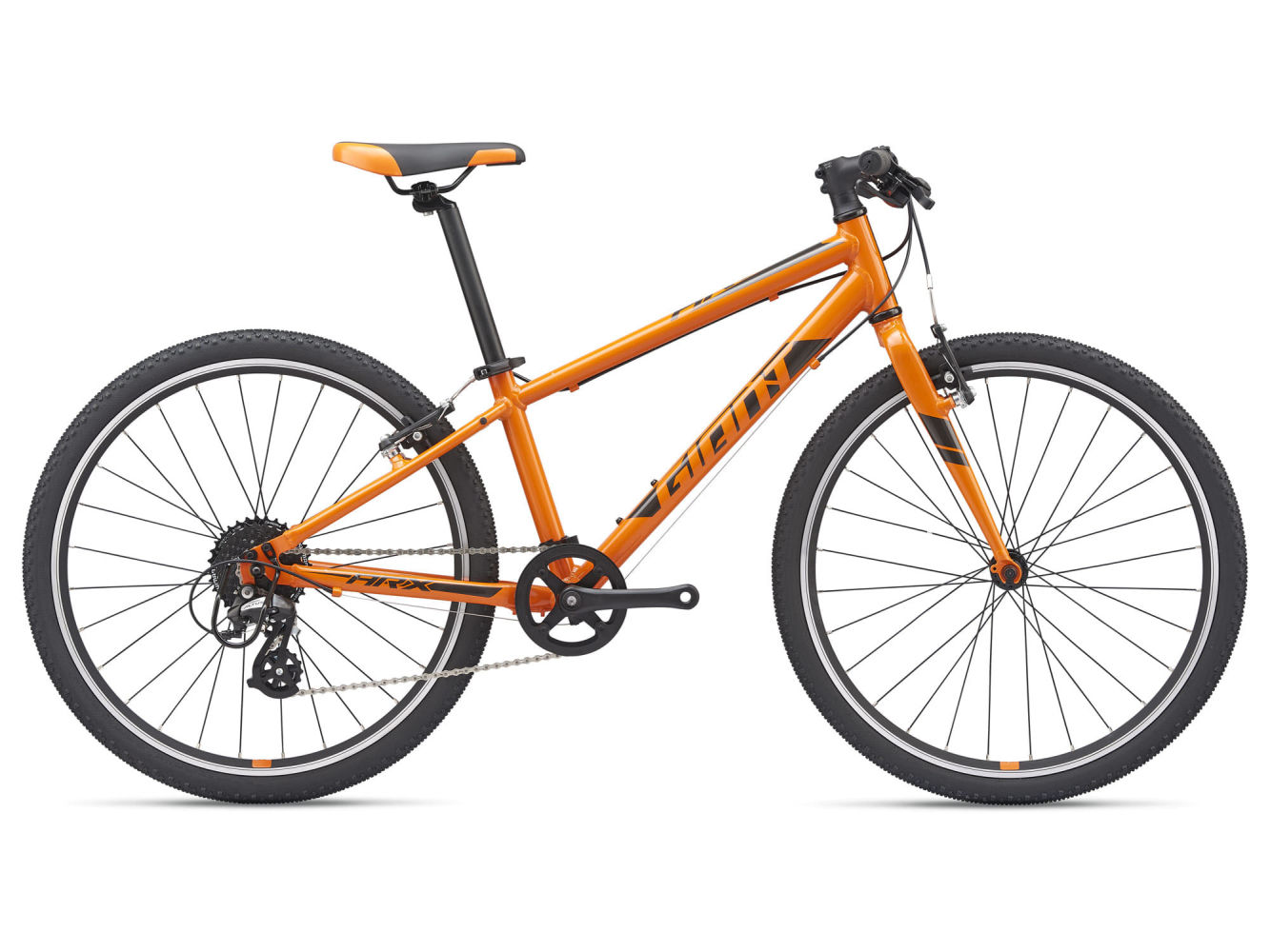 Giant ARX 24 (2021) Giant ARX 24 (2021)