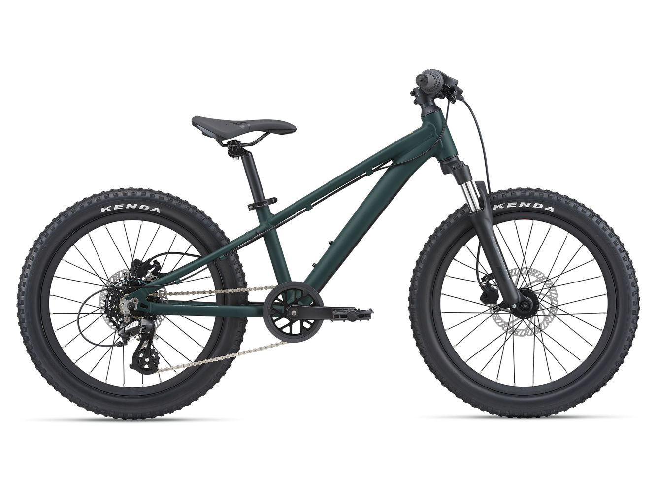 Giant STP 20 FS (2021)