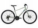 Giant Liv Alight 3 DD Disc (2021) Giant Liv Alight 3 DD Disc (2021)