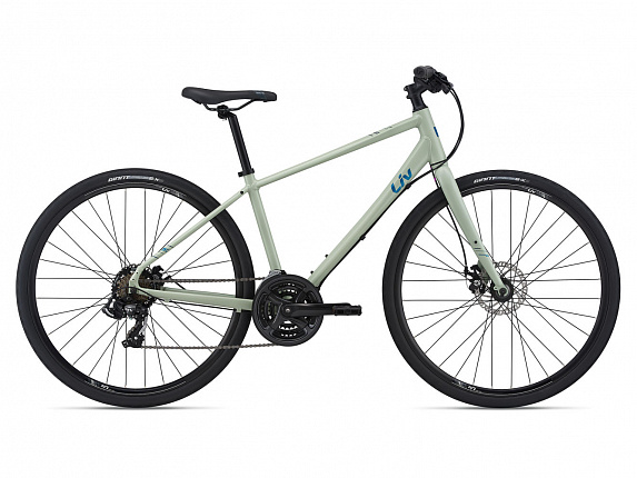 Giant Liv Alight 3 DD Disc (2021) Giant Liv Alight 3 DD Disc (2021)