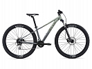 Giant Liv Tempt 2 (2021)