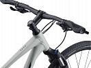 Giant Roam 3 Disc (2021)