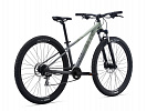 Giant Liv Tempt 2 (2021)