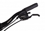 DeWolf Asphalt 10 W (2021)