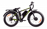 Wellness BigCat Dual 1000