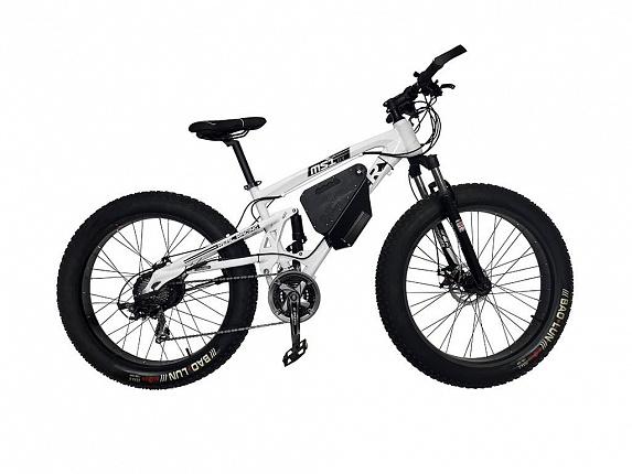 ElectronBikes MS1 Super ElectronBikes MS1 Super