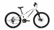 Forward RISE 24 2.0 disc (2021) Forward RISE 24 2.0 disc (2021)