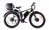 Wellness BigCat Dual 1000 c кофром Wellness BigCat Dual 1000 c кофром