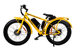 Wellness BigCat Dual 1000