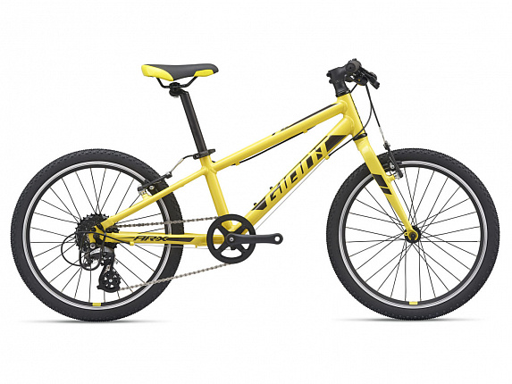 Giant ARX 20 (2021) Giant ARX 20 (2021)