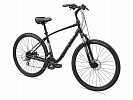 Giant Cypress DX (2021) Giant Cypress DX (2021)