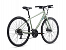 Giant Liv Alight 3 DD Disc (2021) Giant Liv Alight 3 DD Disc (2021)