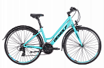 DeWolf Asphalt 10 W (2021)