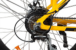 Wellness BigCat Dual 1000