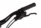 DeWolf TRX 30 (2021) DeWolf TRX 30 (2021)