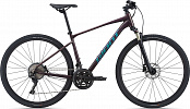 Giant Roam 0 Disc (2021) Giant Roam 0 Disc (2021)