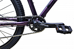 Stark Viva 27.2 D (2024)
