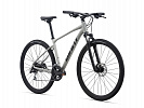 Giant Roam 3 Disc (2021)