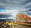 Shulz GOA V-brake (желтый) Shulz GOA V-brake (желтый)