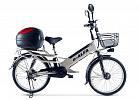 Green City e-ALFA L с кофром Green City e-ALFA L с кофром