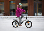 Shulz GOA Disk (серебристый) Shulz GOA Disk (серебристый)