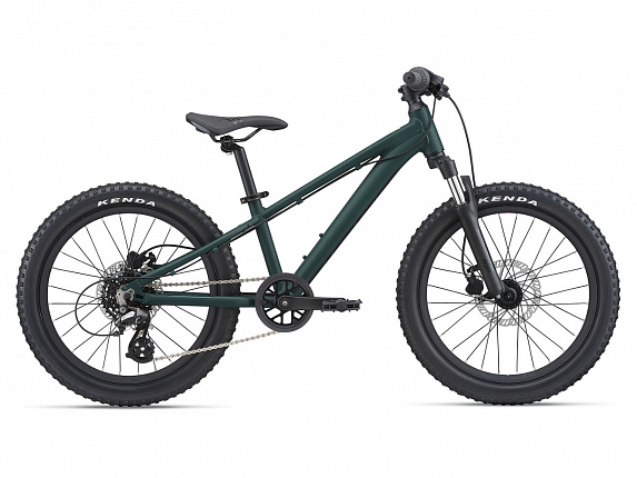 Giant STP 20 FS (2021) Giant STP 20 FS (2021)