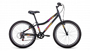 Forward IRIS 24 1.0 (2021) Forward IRIS 24 1.0 (2021)