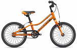Giant ARX 16 F/W (2020) Giant ARX 16 F/W (2020)
