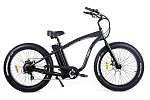 Cyberbike Cruiser Cyberbike Cruiser