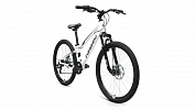 Forward RISE 24 2.0 disc (2021) Forward RISE 24 2.0 disc (2021)
