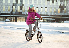 Shulz GOA Disk (серебристый) Shulz GOA Disk (серебристый)