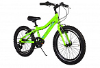 DeWolf RIDLY JR 20 (2021) DeWolf RIDLY JR 20 (2021)