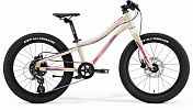 Merida Matts J20+ (2021) Merida Matts J20+ (2021)