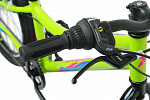 Forward IRIS 24 1.0 (2021) Forward IRIS 24 1.0 (2021)