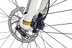 GTX CARBON 2000 GTX CARBON 2000