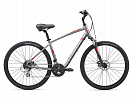 Giant Cypress DX (2021) Giant Cypress DX (2021)