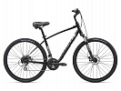 Giant Cypress DX (2021) Giant Cypress DX (2021)