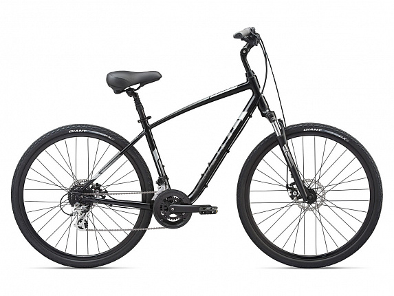 Giant Cypress DX (2021) Giant Cypress DX (2021)