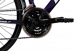 DeWolf Asphalt 20 W (2022)