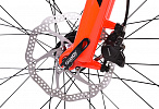 DeWolf TRX 30 (2021) DeWolf TRX 30 (2021)