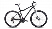 Forward SPORTING 29 2.0 disc (2021) Forward SPORTING 29 2.0 disc (2021)