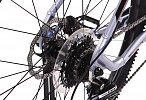 DeWolf TRX 20 (2021)