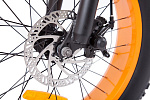 Cyberbike Fat 350W