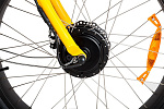 Wellness BigCat Dual 1000