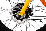 Wellness BigCat Dual 1000