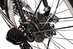 Green City e-ALFA L с кофром Green City e-ALFA L с кофром